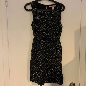 Dynamite spotted dress